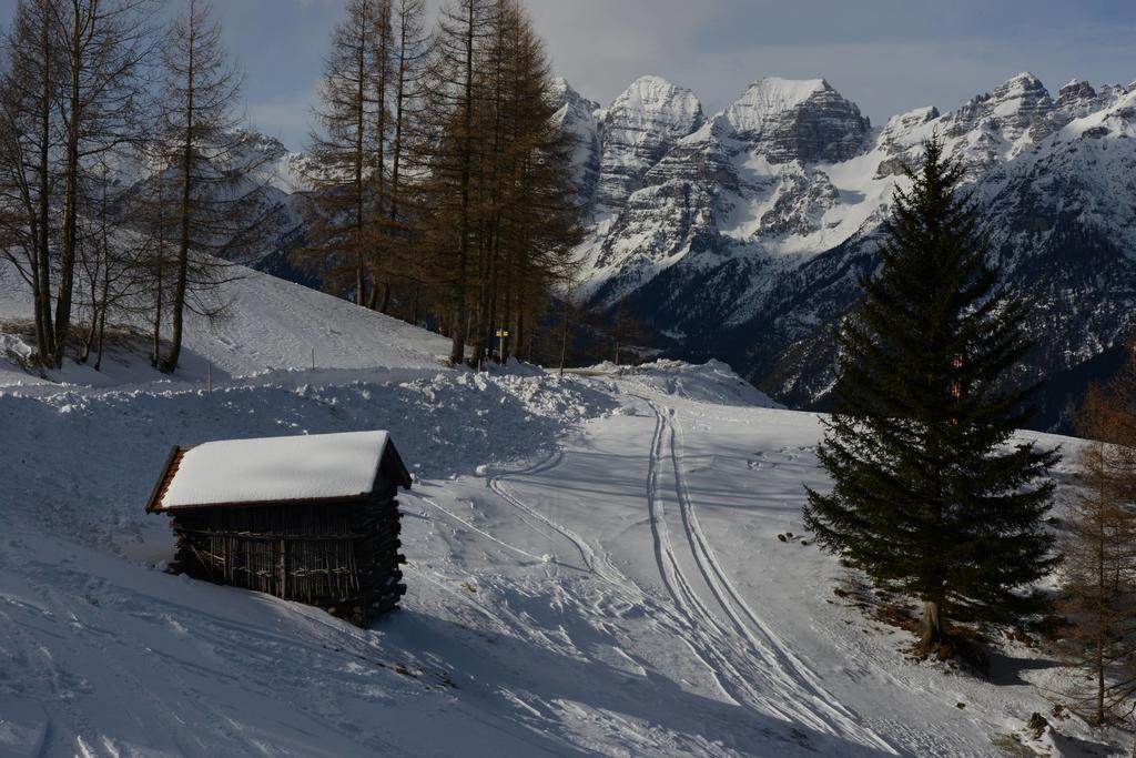 Haus Elisabeth Bed & Breakfast Neustift im Stubaital Exterior photo