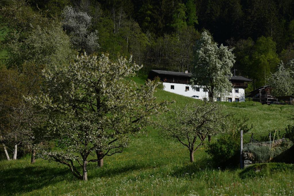 Haus Elisabeth Bed & Breakfast Neustift im Stubaital Exterior photo