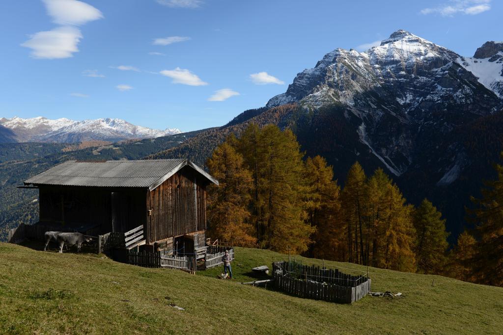 Haus Elisabeth Bed & Breakfast Neustift im Stubaital Exterior photo