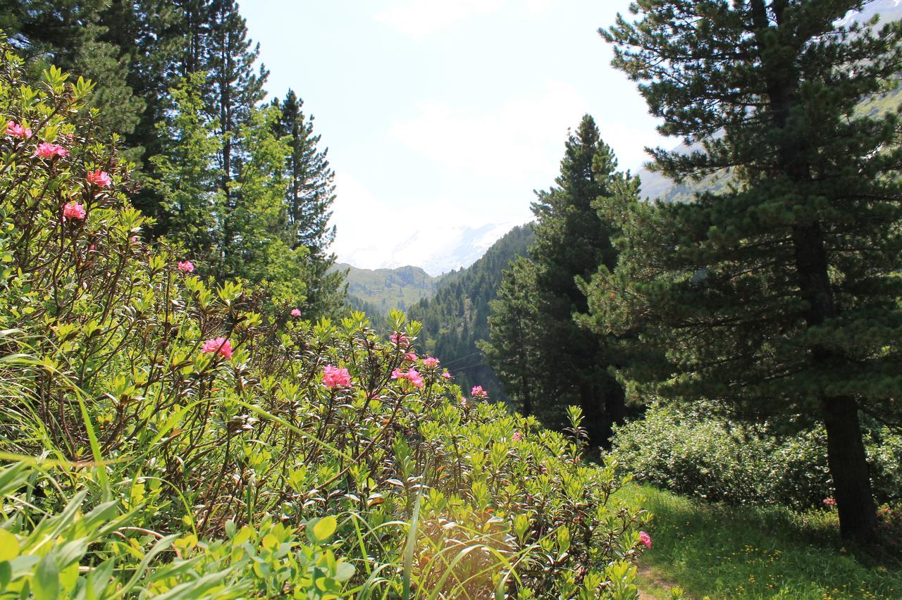 Haus Elisabeth Bed & Breakfast Neustift im Stubaital Exterior photo